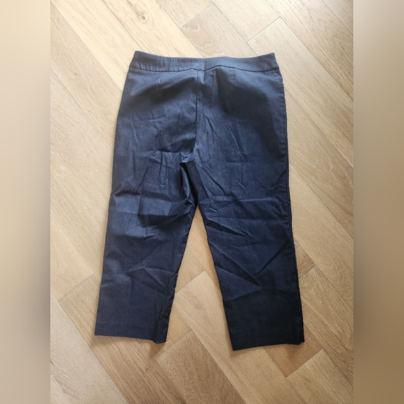 TIME AND TRU | NWOT blue dress capris - Picture 4 of 6